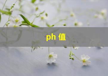 ph 值